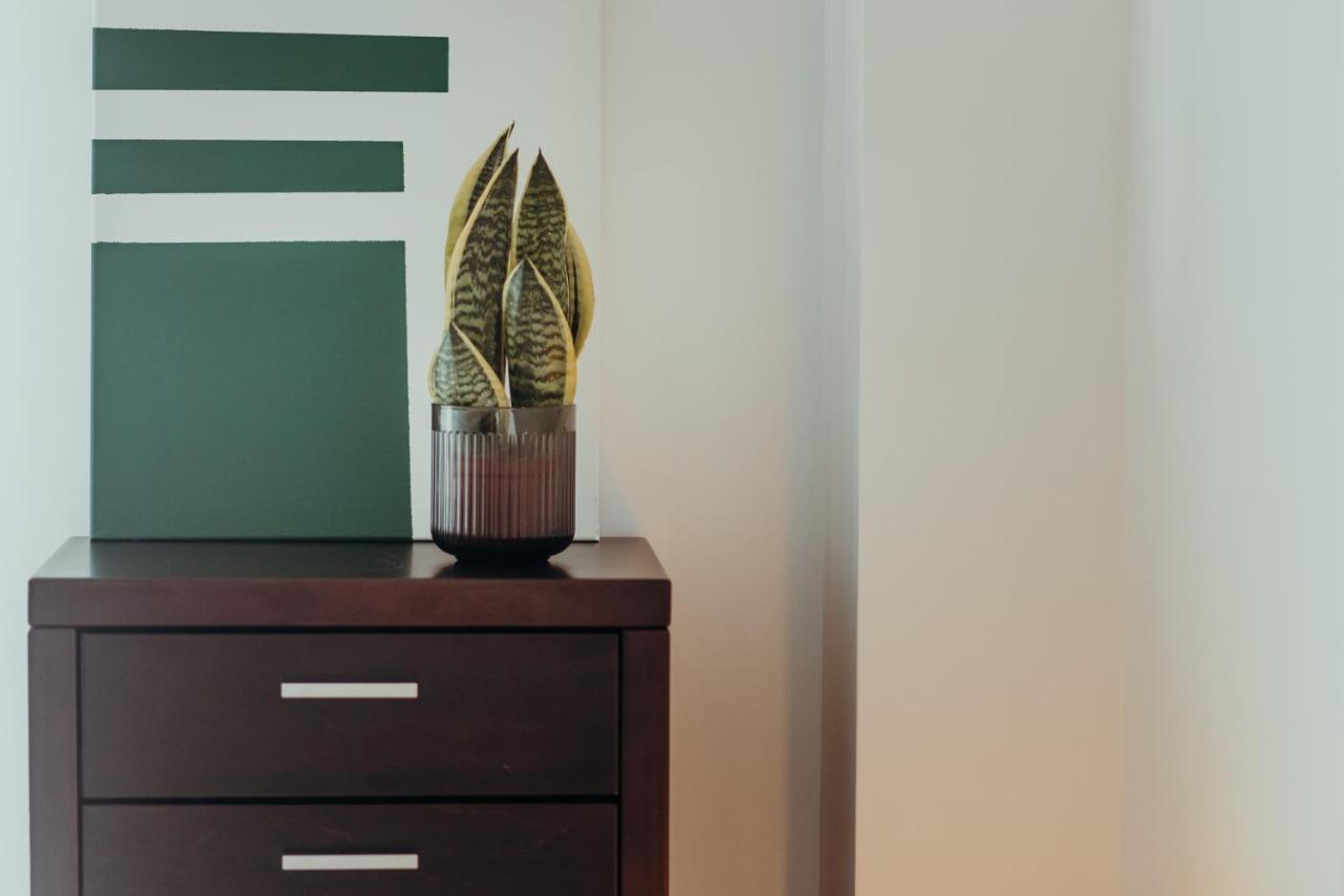 Racia Lodges - Apartment 비아나도카스텔로 외부 사진